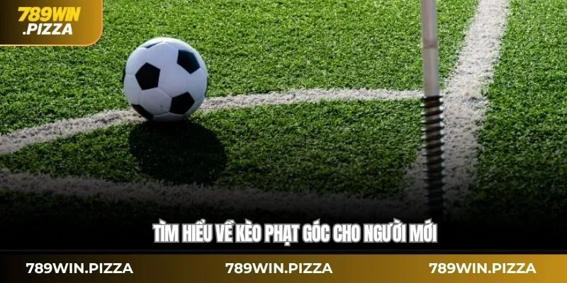 Tìm hiểu về kèo phạt góc cho người mới