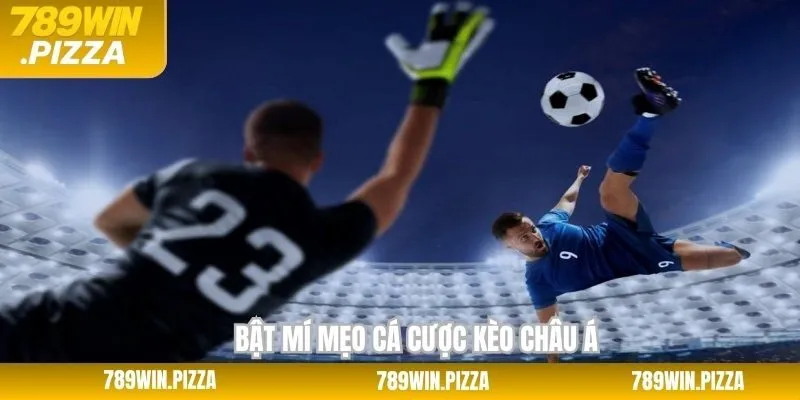 Kinh nghiệm thắng lớn khi tham gia kèo cược châu Âu 789Win