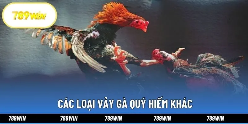  Các loại vảy gà quý hiếm khác