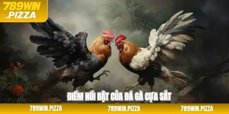 Một số những ưu điểm nổi bật của đá gà cựa sắt