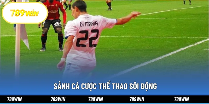 Sảnh cá cược thể thao sôi động