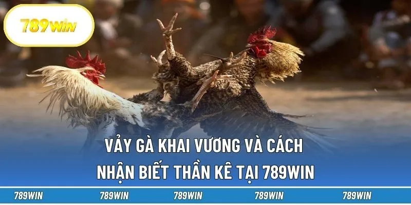 Vảy Gà Khai Vương Và Cách Nhận Biết Thần Kê Tại 789win
