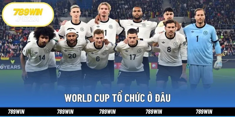 World Cup Tổ Chức Ở Đâu Và Thông Tin Mới Tại 798WIN